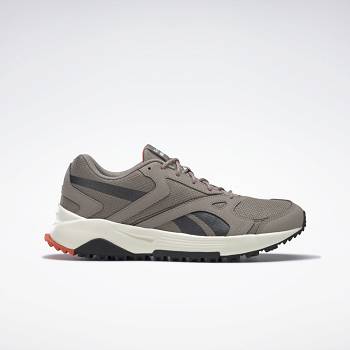 Reebok Lavante Terrain Siva - Panske Bezecke Topanky